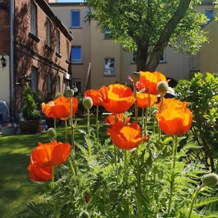 City Appartement Mit Garten, Zentral Und Trotzdem Ruhig Cottbus Kültér fotó