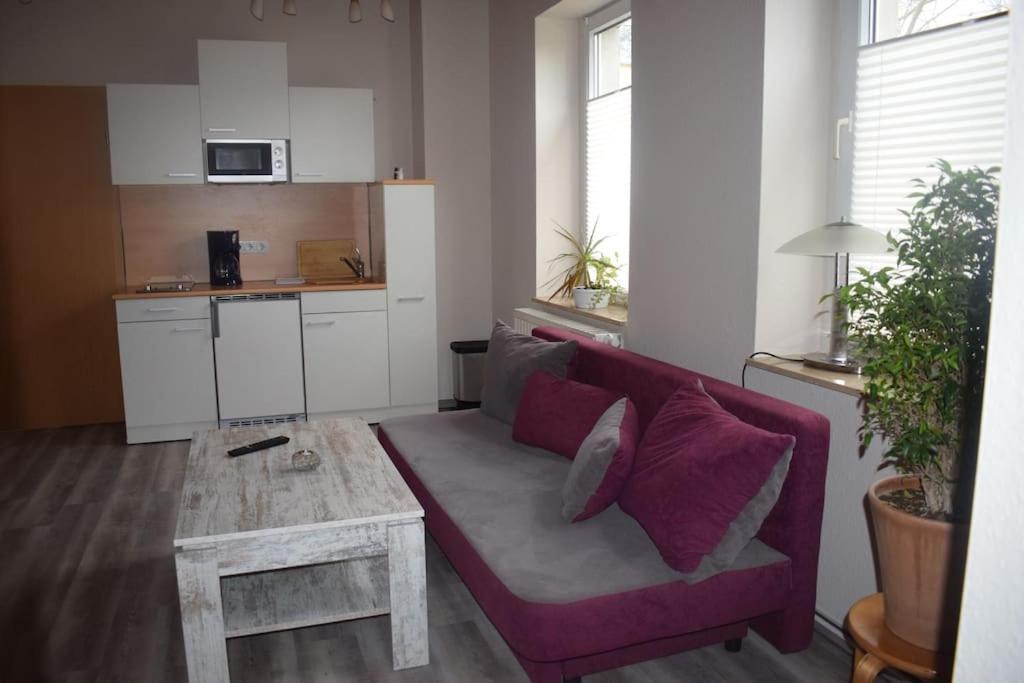 City Appartement Mit Garten, Zentral Und Trotzdem Ruhig Cottbus Kültér fotó