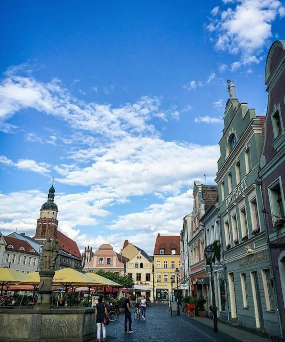 City Appartement Mit Garten, Zentral Und Trotzdem Ruhig Cottbus Kültér fotó