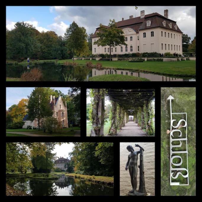 City Appartement Mit Garten, Zentral Und Trotzdem Ruhig Cottbus Kültér fotó