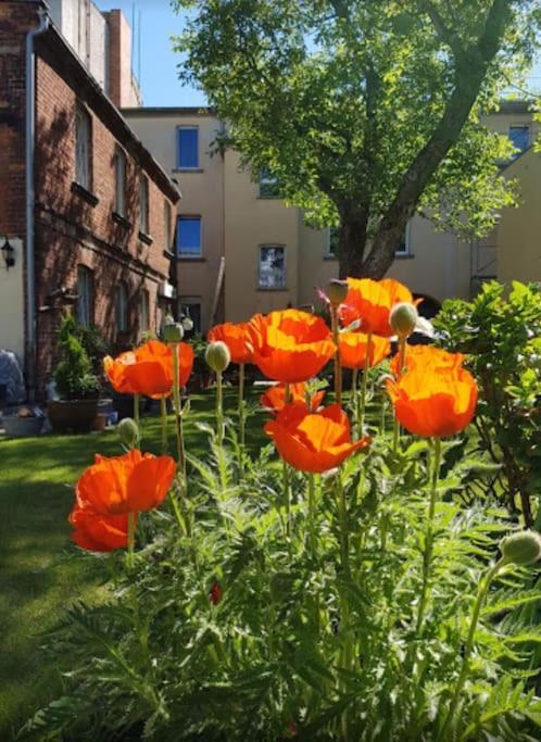 City Appartement Mit Garten, Zentral Und Trotzdem Ruhig Cottbus Kültér fotó